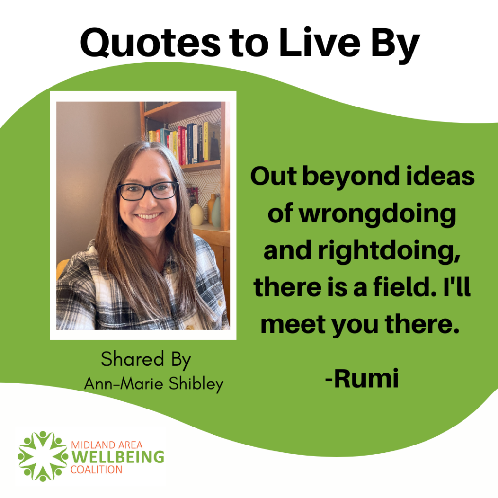 Anne-Marie Shibley Quote To live By Graphic